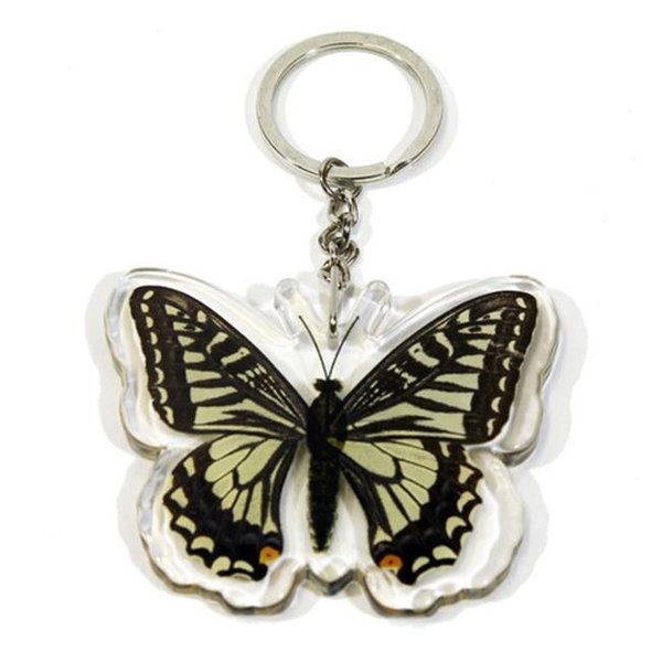 Surprise Company  Real Bug Asian Swallowtail Butterfly Key Chain SU486087